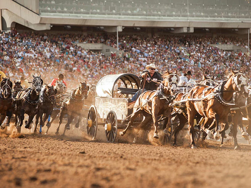 All Elite Wrestling at the Calgary Stampede 2024; supported by