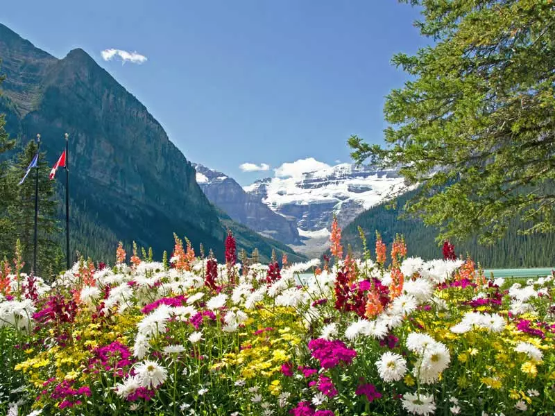 Canadian Railways to the Rockies | Lake Louise