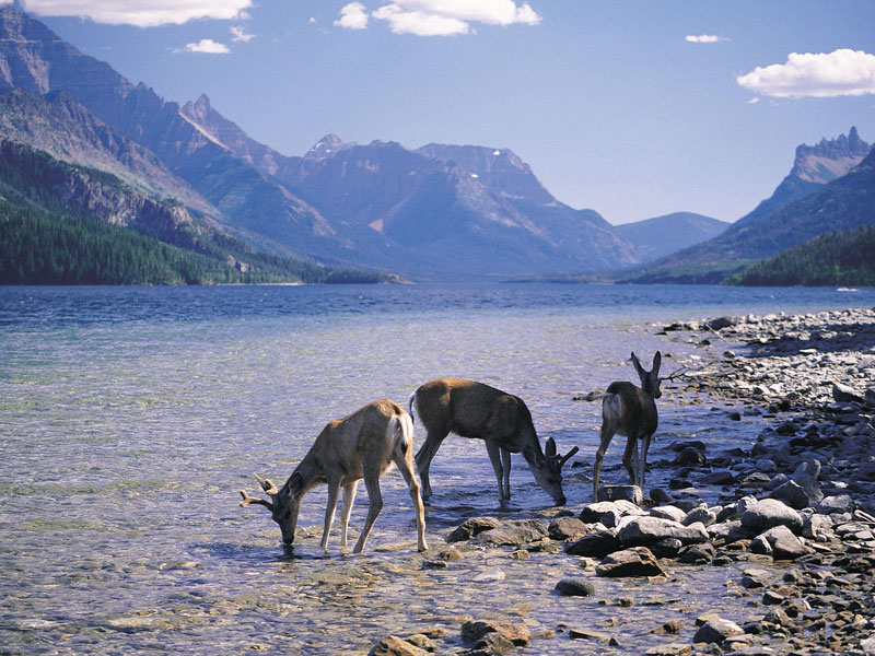 Canadian Trails Train Trips Across Canada | Bow River Canadian Rockies