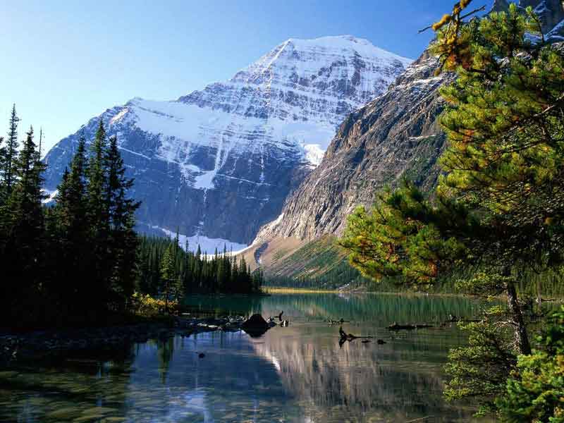 Grizzly Bears & the Canadian Rockies Train Vacation | Canadian Rockies