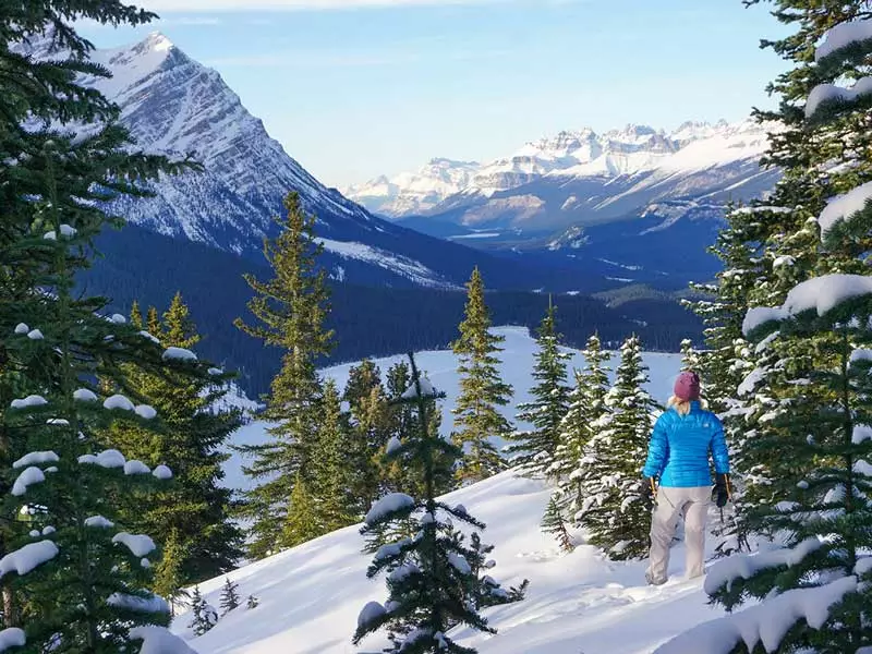 Luxury Winter Train Trip to the Canadian Rockies | Icefield Parkway between Jasper & Lake Louise