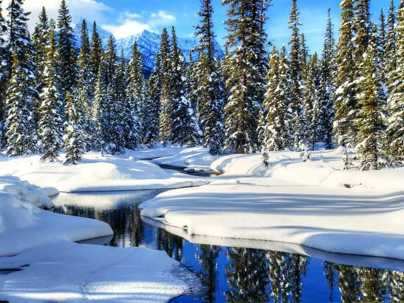 Canadian Rockies Winter Train Trips | Bow River near Banff